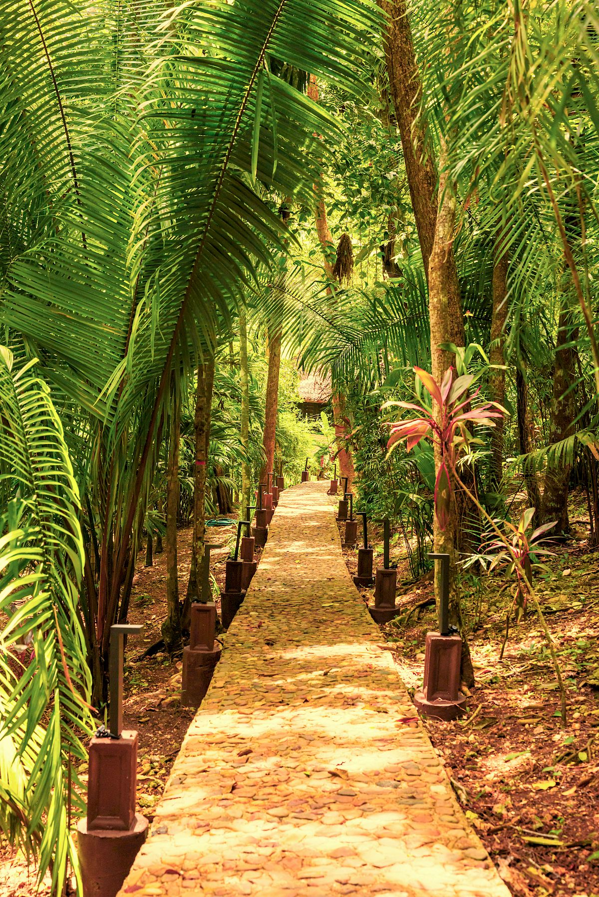 Table Rock Belize: 20% U.S. Military Discount with USVET26 promotional image